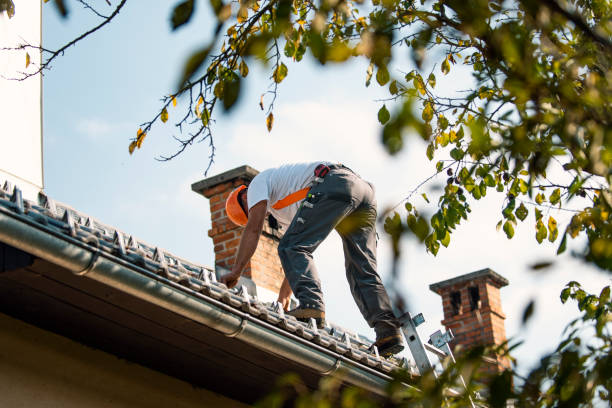 Best Roof Moss and Algae Removal  in Five Corners, WA