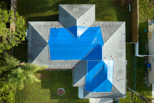 Best Roof Insulation Installation  in Five Corners, WA